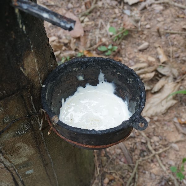 Bicycle Tour on Koh Chang - Thailand - the #1 activity - Slow Life ...